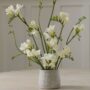 product-275686-1789661358-ACC01-0003284^2